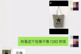 双台子要账公司更多成功案例详情